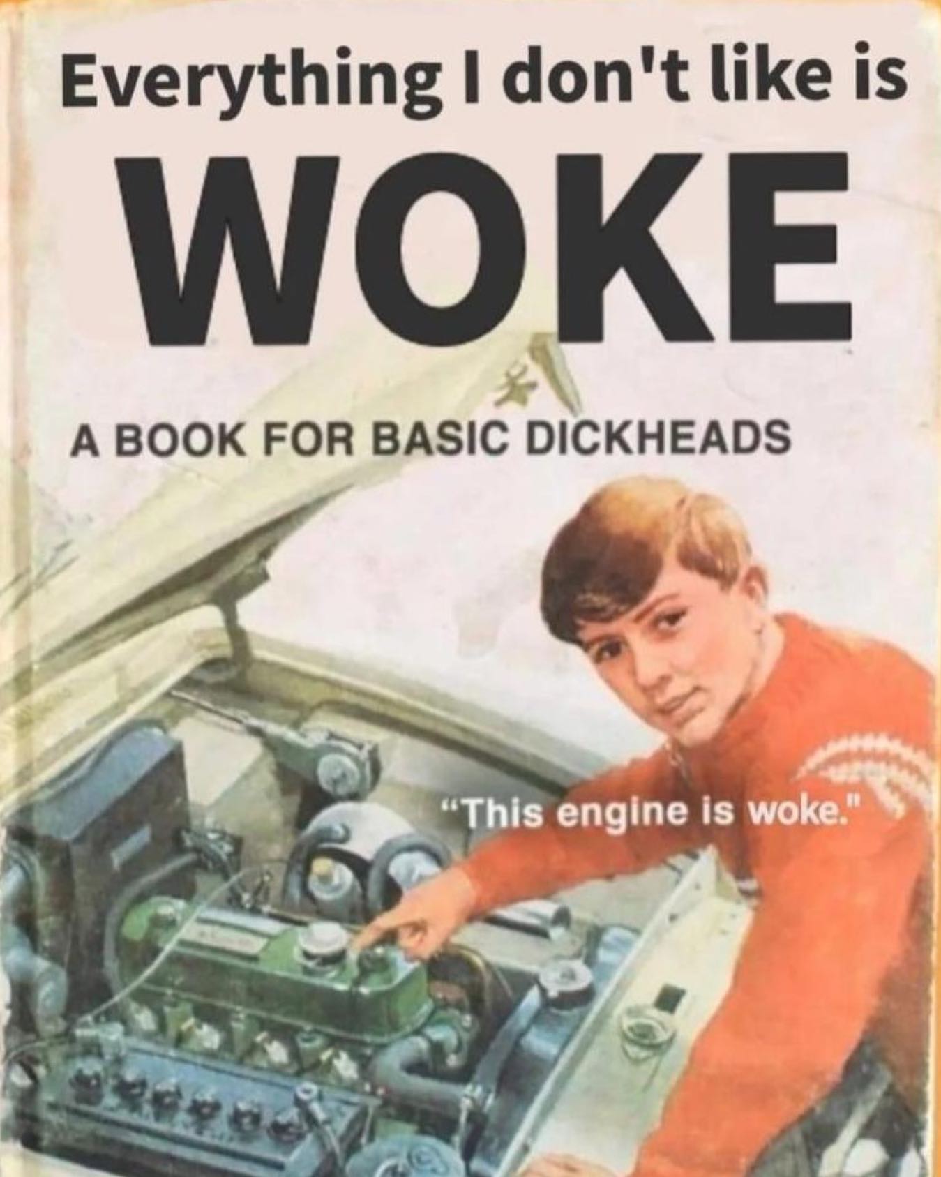 Immagine rappresentativa del concetto 'Woke'